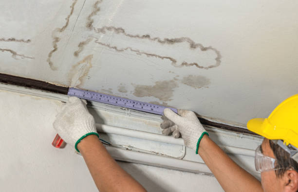 Reliable Basement Water Removal contractor in Allendale, MI by Water Damage Irwin